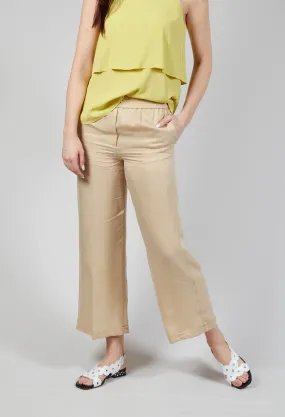 Cupro Trousers in Pampas